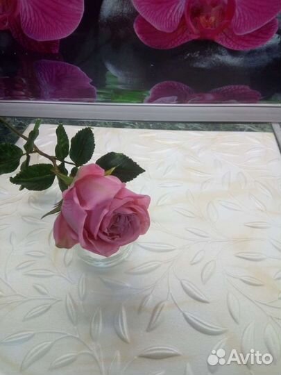 Искусственные цветы