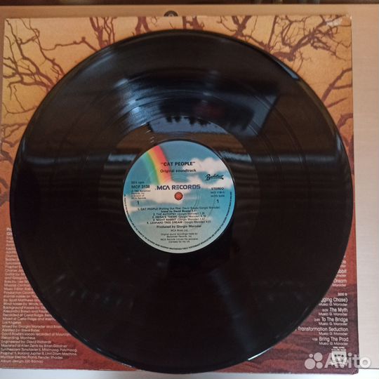 Виниловая пластинка