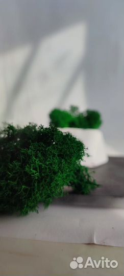 Гипсовое кашпо