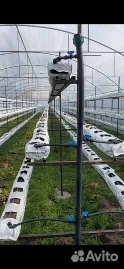 Сварочные работы услуги