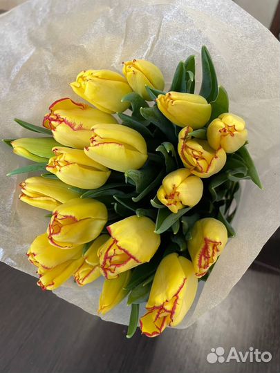 Тюльпаны оптом к 8 марта