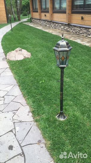 Рулонный газон