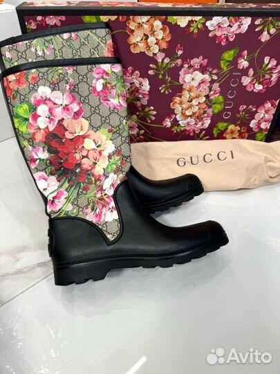 Сапоги gucci оригинал