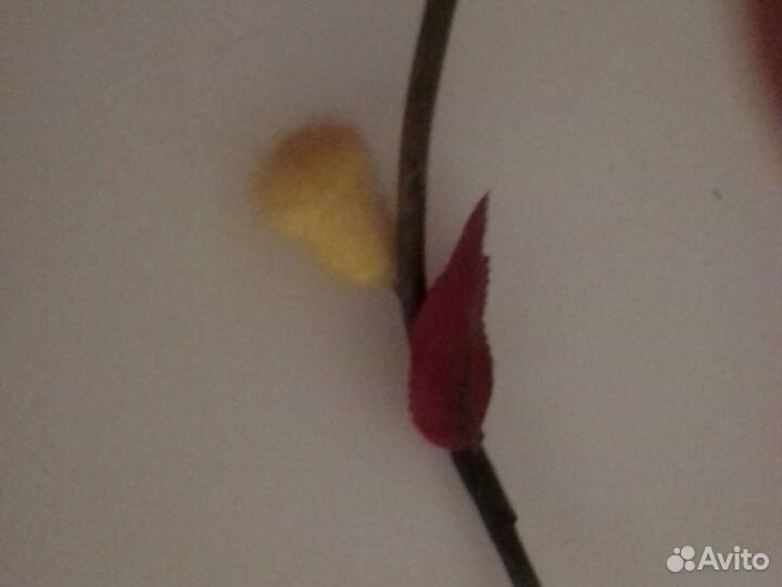 Декорация для дома новая