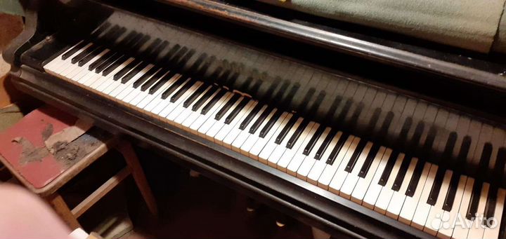 Рояль кабинетный F Muhlbach