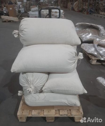 Семена / Ель обыкновенная