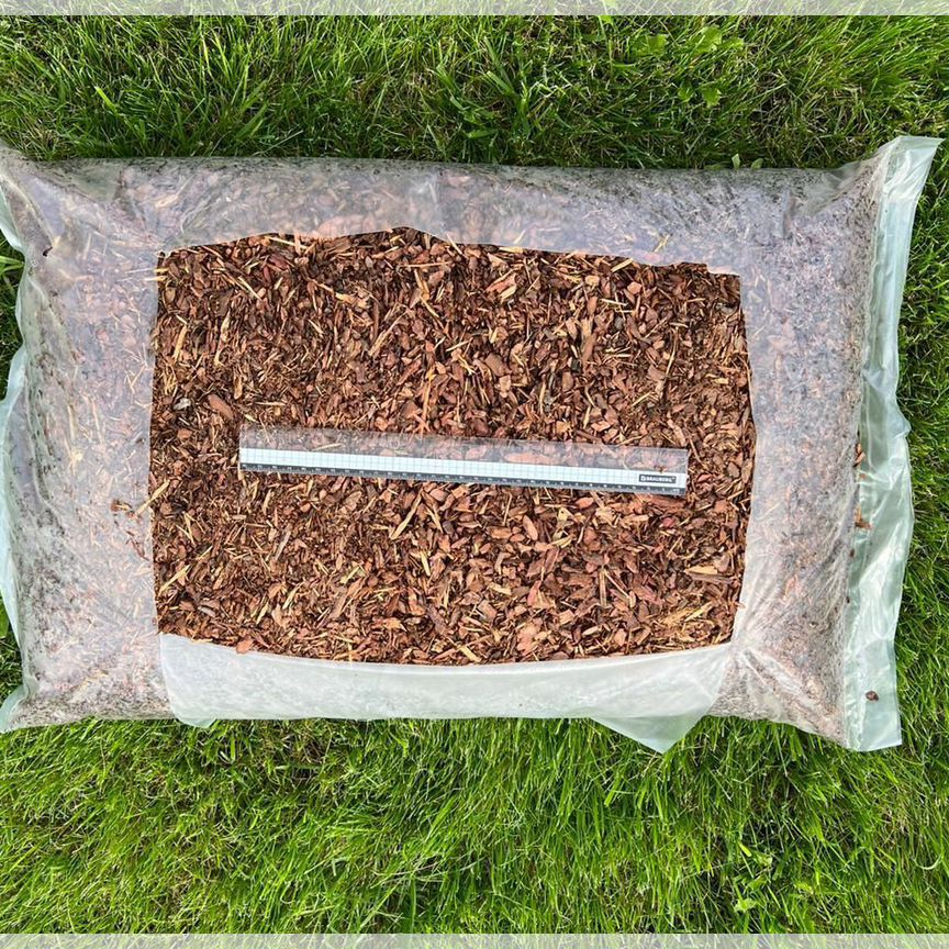 Мәйітханадағы жыныстық қатынасты қараңыз