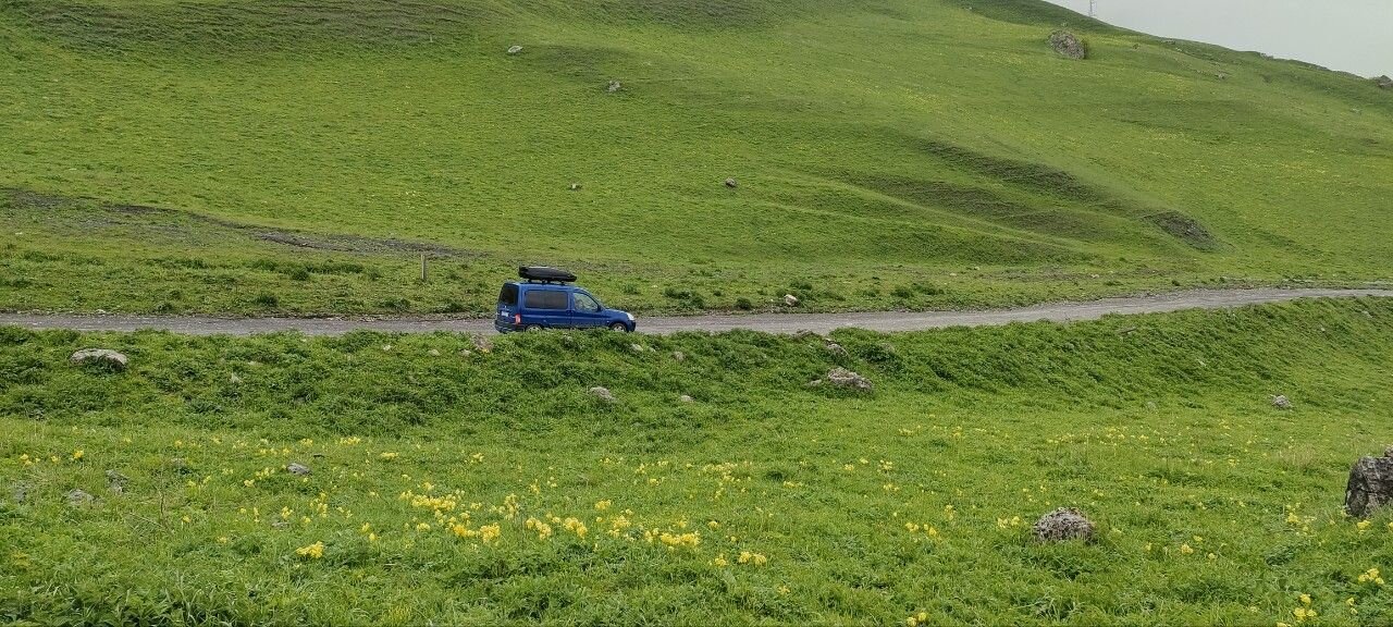 Citroen Berlingo: фото владельца