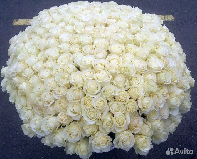 Букет из роз