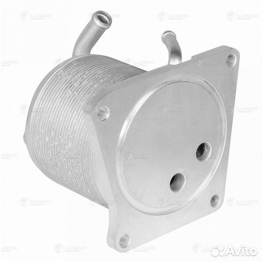 Радиатор масляный Nissan X-Trail T31 (2007-2011) l