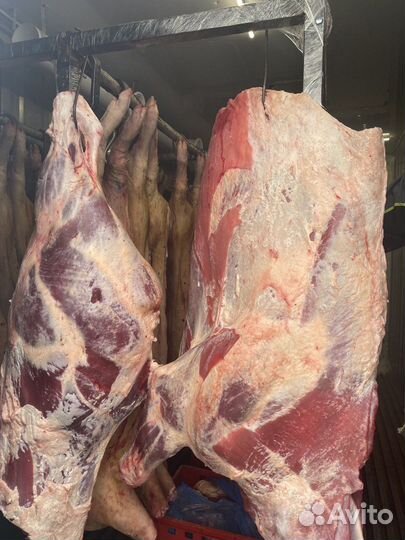 Домашнее мясо говядины, свинины