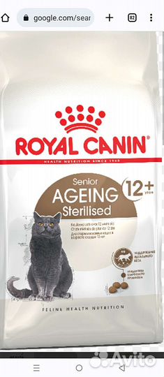 Сухой корм для кошек роял канин