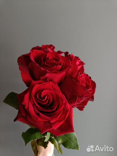 Букет красных роз 80 см