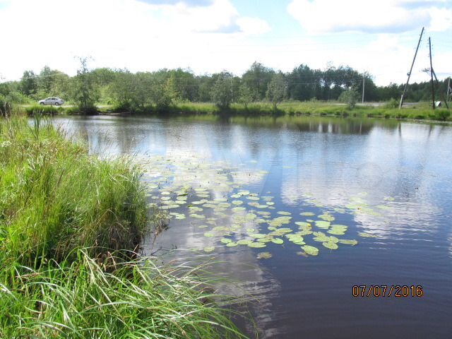 Участок 12 сот. (ИЖС)