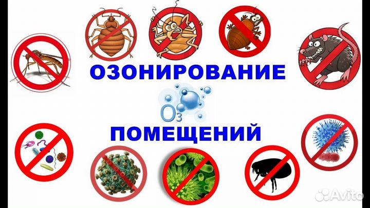 Озонирование Автомобилей, Квартир, Домов, Офисов