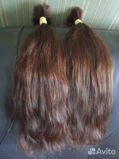 Донорский одноголовый срез волос