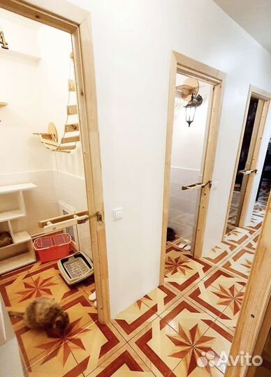 Зоогостиница гостиница для кошек и собак