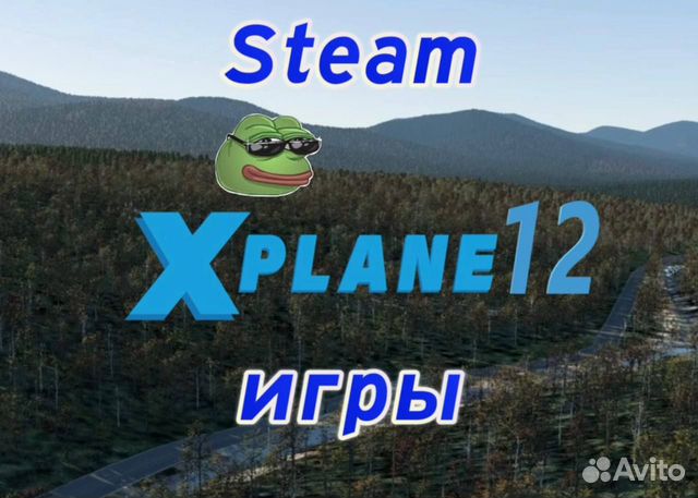 X-Plane 12 - Пополнение Steam