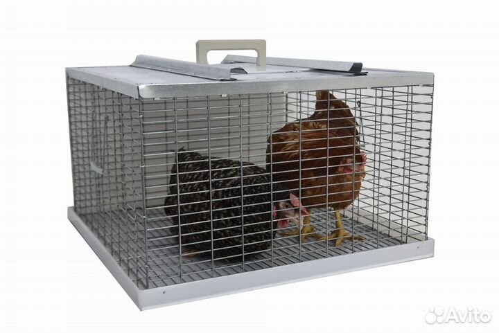 Клетка-переноска для птицы