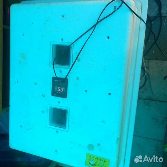 Инкубатор для яиц автоматический бу несушка