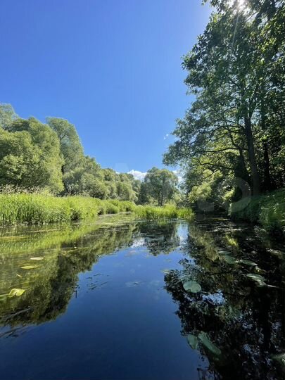 Участок 15 сот. (ИЖС)