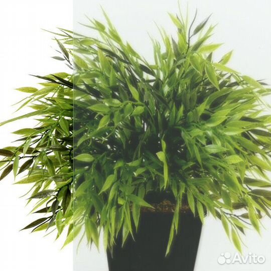 Душевая ширма Triton Альфа-Хром 80*80 без поддона