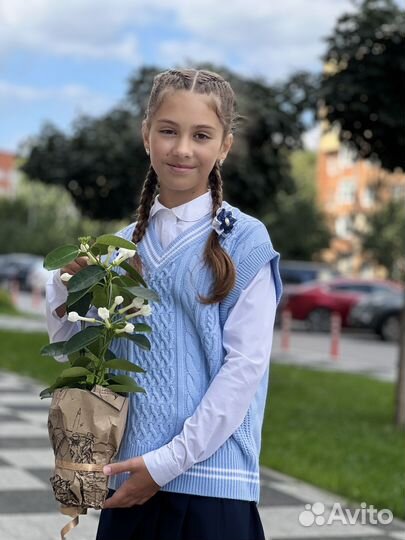 Небукет из стефанотиса к 1 сентября