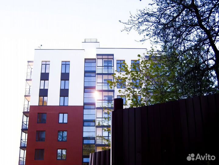 Видеооператор, прямые эфиры, оператор видеограф