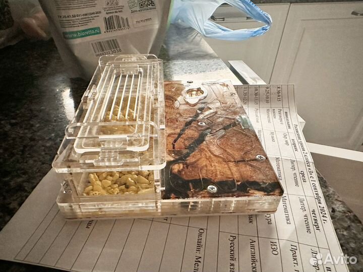 Муравьиная ферма без муравьев с колбами