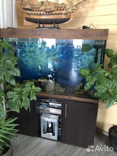 Аквариум с тумбой бу