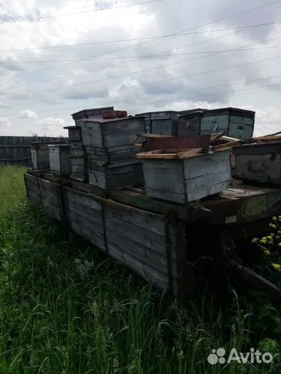 Сушь,улья б/у,рамки бу,прицеп для перевозки пчёл