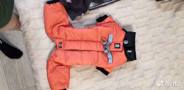 Одежда для собак