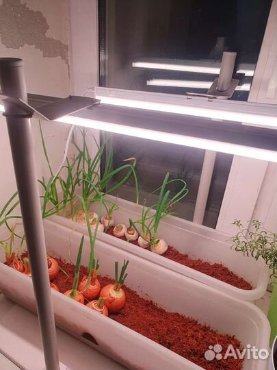 Светильник светодиодный для растений