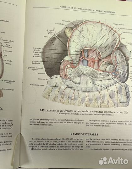 Atlas DE anatomia Humana R.D.Sinelnikov tomo II