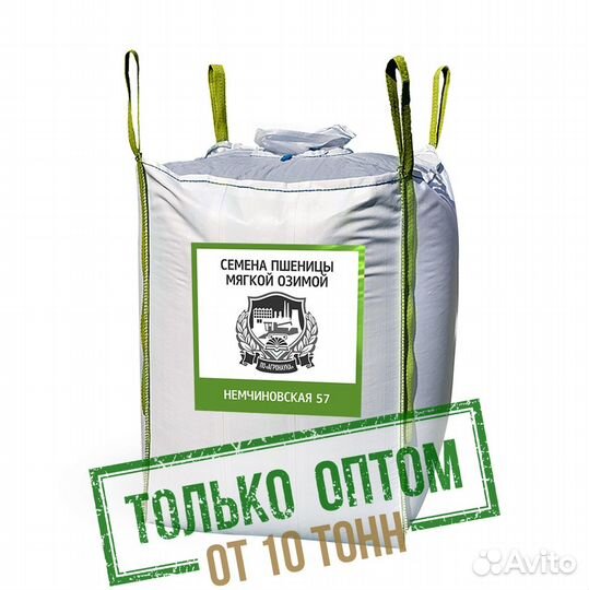 Семена мягкой озимой пшеницы, сорт 