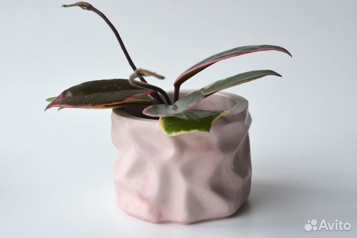 Кашпо для цветов Maranta (под d6)