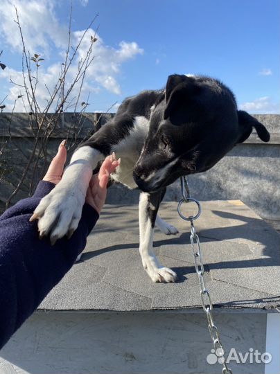 Шикарная Марта