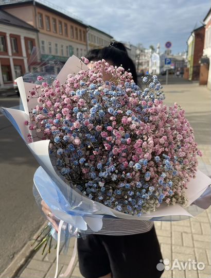 Цветная гипсофила