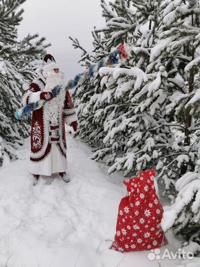 Дед Мороз и снегурочка