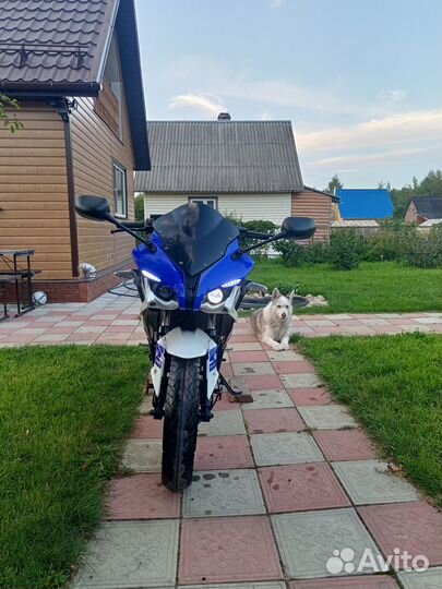 Racer rc250xzr-A storm