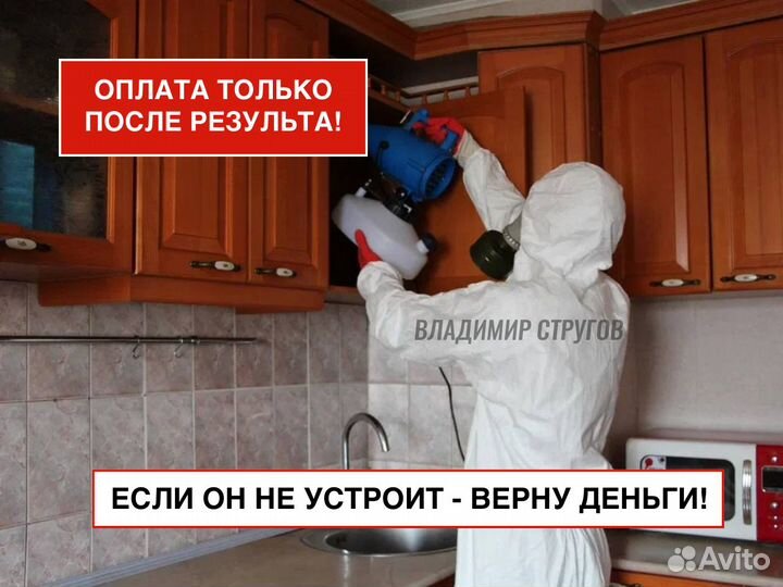 Дезинсекция. Уничтожение клопов. Травля тараканов