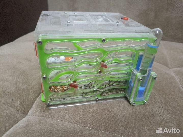 Формикарий -муравьиная ферма