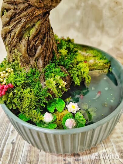 Дерево бонсай