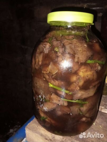 Грибы соленые