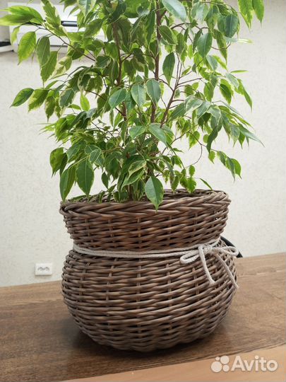 Кашпо горшочек 12 л из ротанга