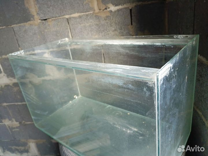 Аквариум с ракушками