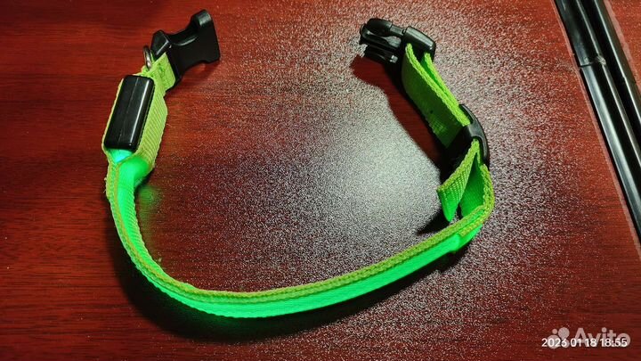 Ошейник для собак