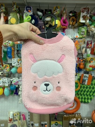 Одежда для маленьких собак