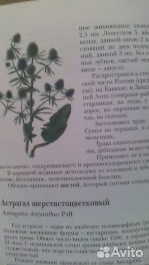 Книги Салаты и закуски Лекарственные растения