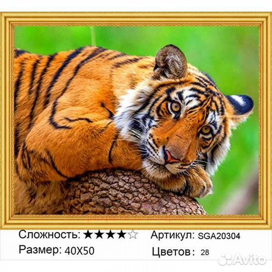 Алмазная мозаика 40x50 Отдых большого тигра